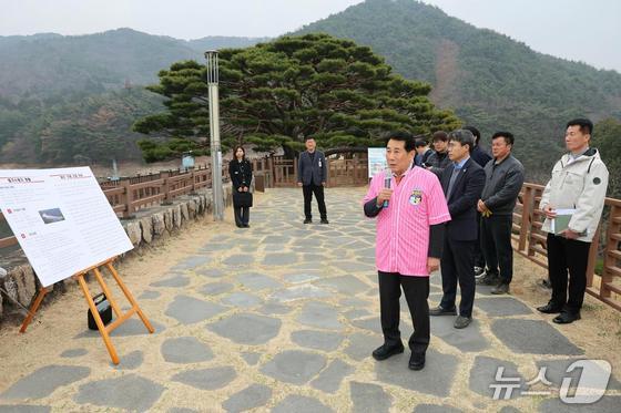Discover Yangsan’s Top 12 Attractions: A Complete Guide for 2026