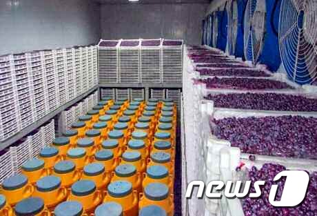 Samjiyon Cranberry Beverage Factory, North Korea / Rodong Sinmun
