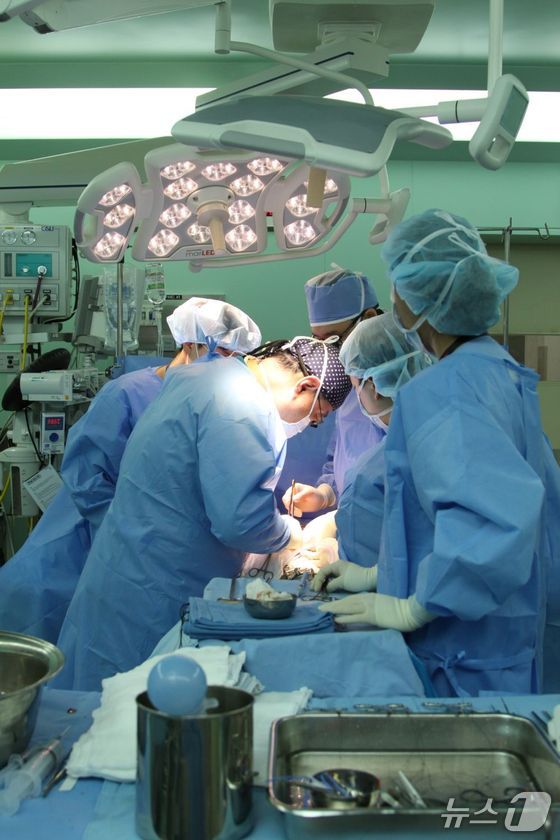 Professor Park Soon-cheol, Director of the Organ Transplant Center (Vascular Surgery) at Seoul St. Mary’s Hospital, is performing a kidney transplant surgery / Provided by Seoul St. Mary\'s Hospital