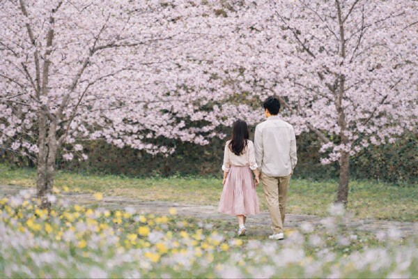 이미지 = 벚꽃이 만개한 ‘예래생태공원’에서 산책 중인 제주신라호텔 고객