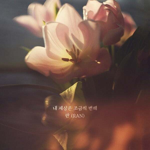 이미지 =요구르트 스튜디오 제공