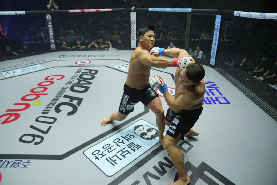引用：ROAD FC