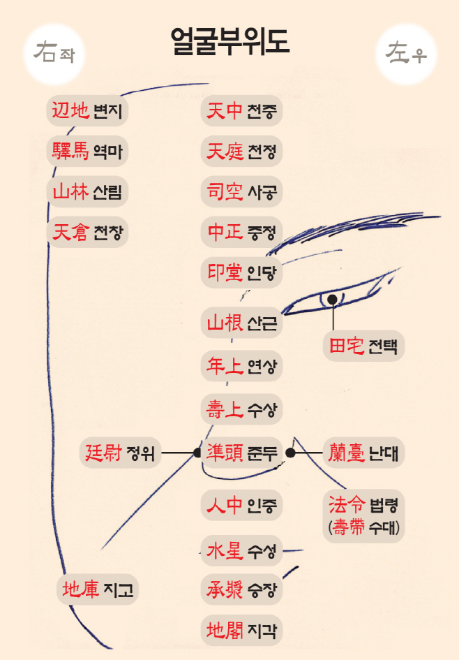얼굴부위도