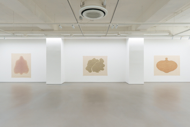 김홍주 표면에 남다 전시 전경