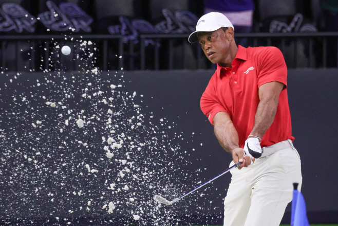TGL Finals Golf