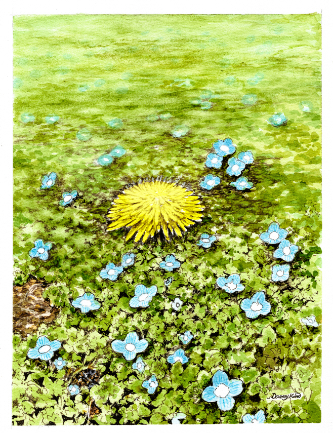 (76) 봄꽃 그림