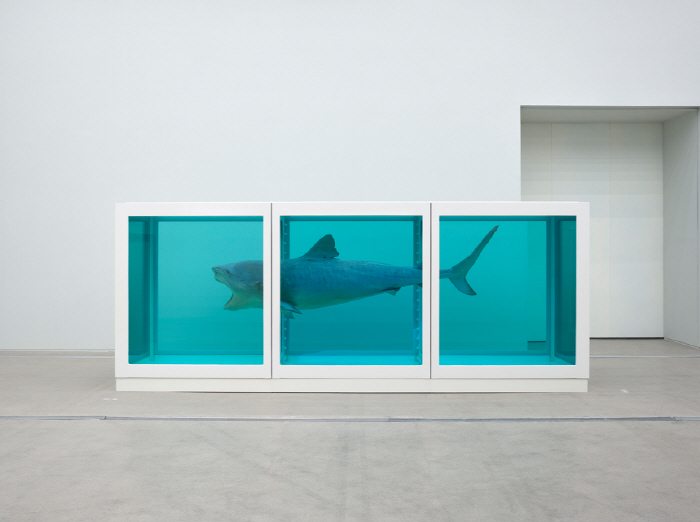 데이미언 허스트_전시 전경 02_MMCA 서울