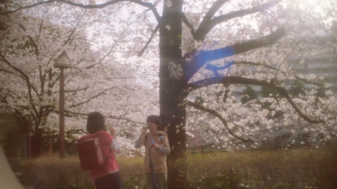 초속 5센티미터