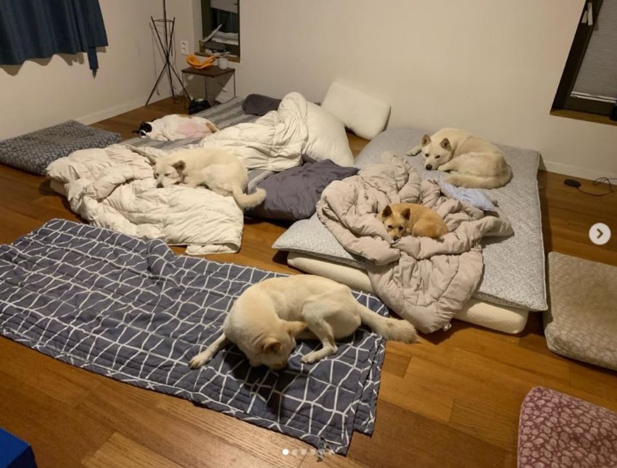 引用：イ・ヒョリのInstagramアカウント