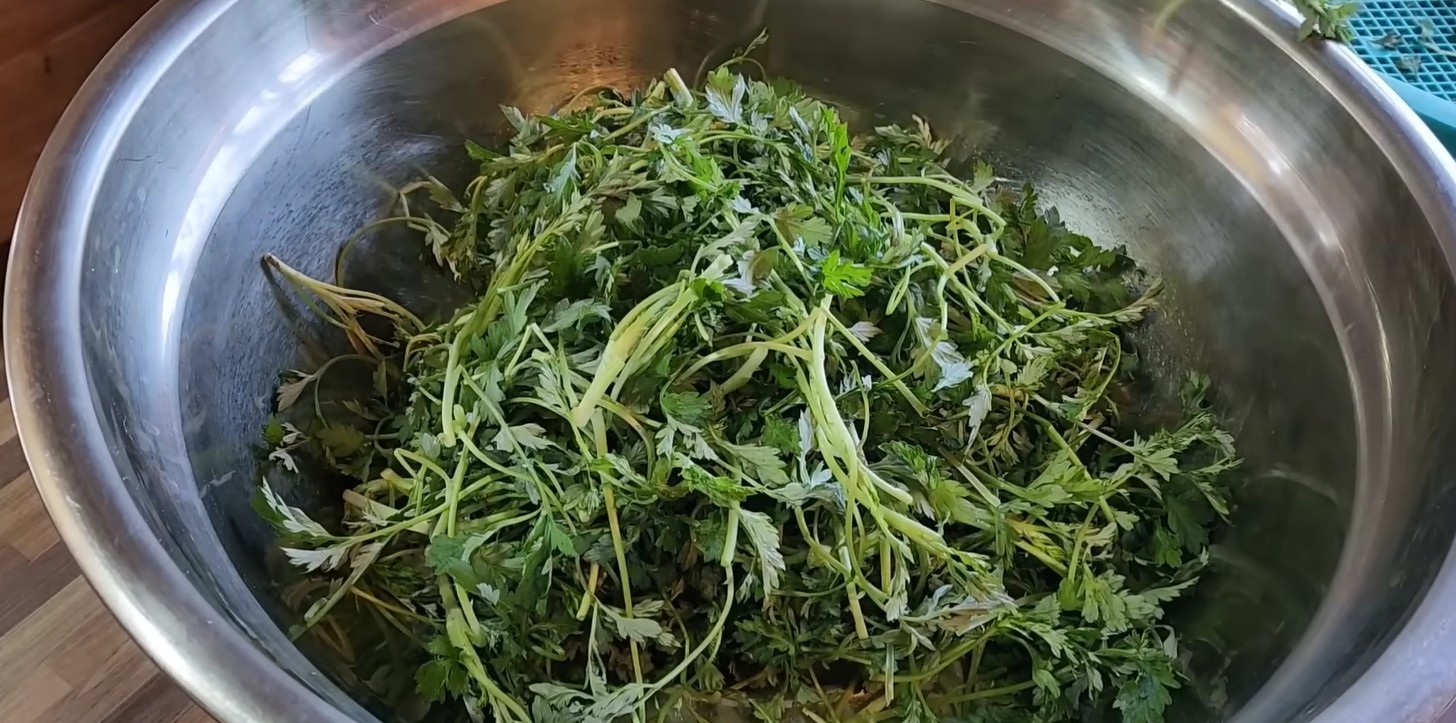Why ‘Suk Bugak’ is the Must-Try Spring Snack: A Complete Guide to Crispy Mugwort Delights