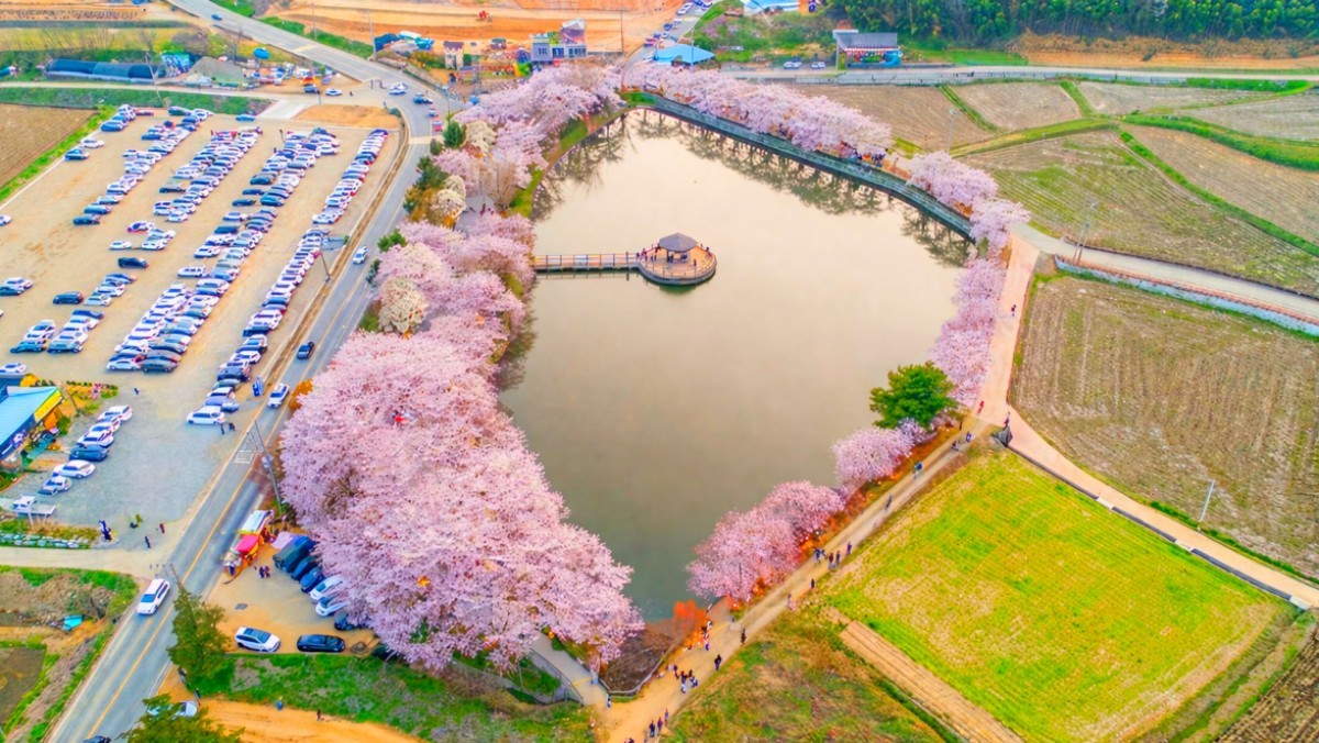 Goljeongji in Dangjin. / Official blog of Dangjin City, AI