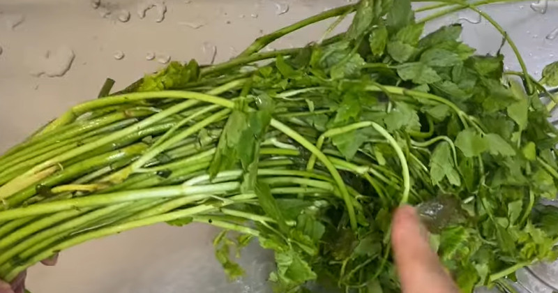 How to Enjoy Minari Without Boiling: The Secret to Tenderness and Flavor