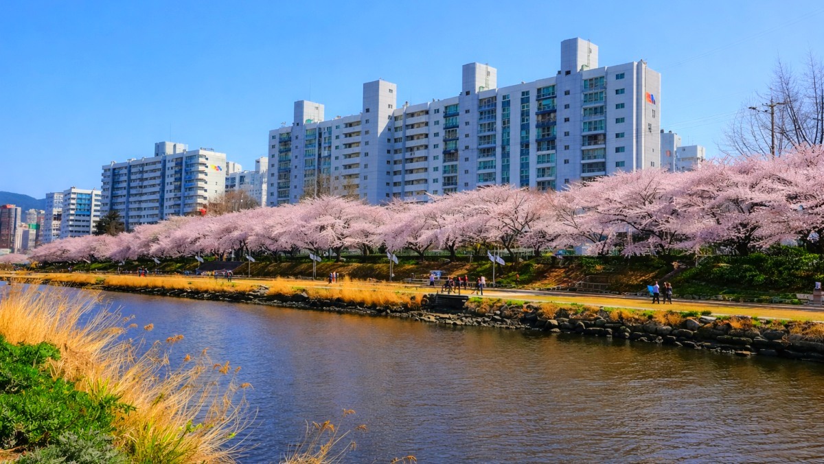 Busan\'s Oncheoncheon Cafe Street. / Busan City official blog, AI