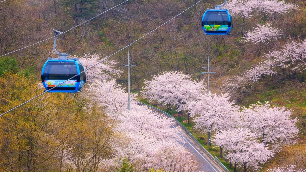 Cheongpung lakeside cable car. / Jecheon City official blog, AI