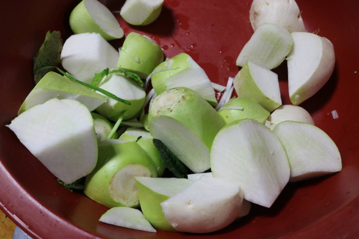 Radish stock photo / inforest-shutterstock.com