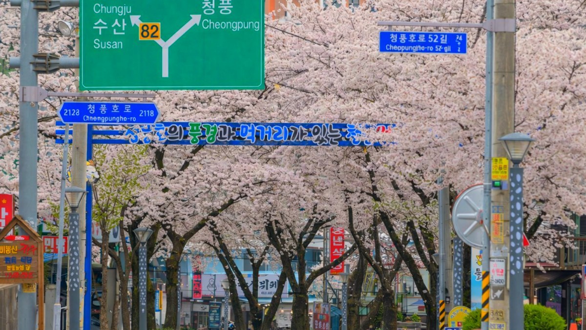 Cheongpung Lake, Multaeri. / Jecheon City official blog, AI