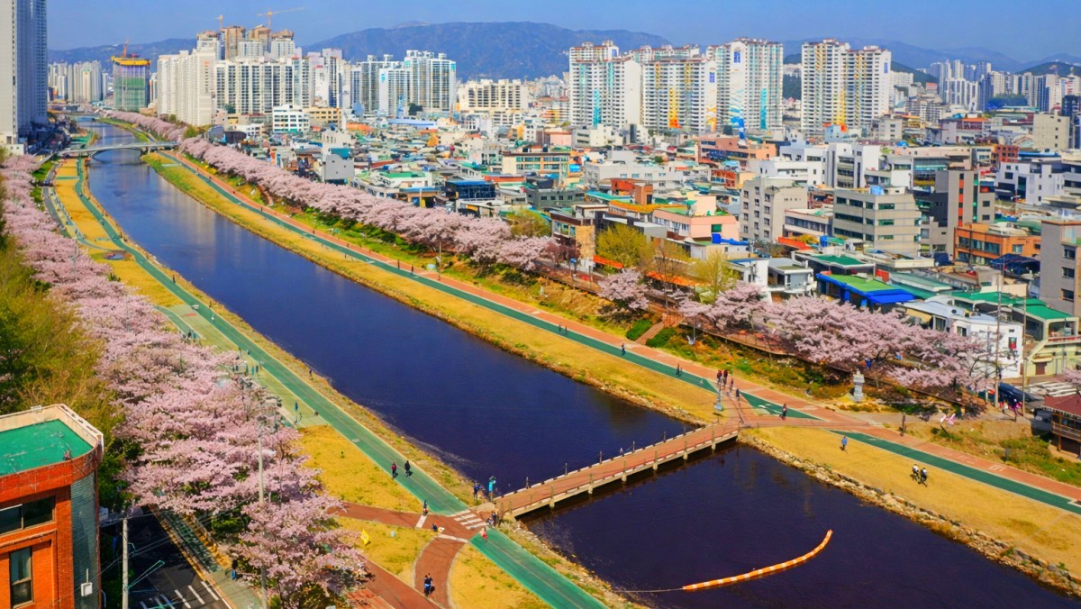 Busan\'s Oncheoncheon Cafe Street. / Busan City official blog, AI