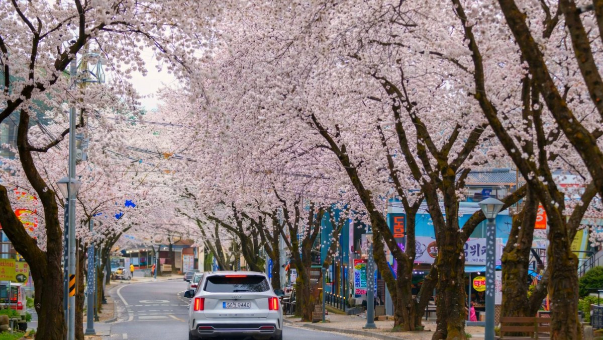 Cheongpung Lake, Multaeri. / Jecheon City official blog, AI