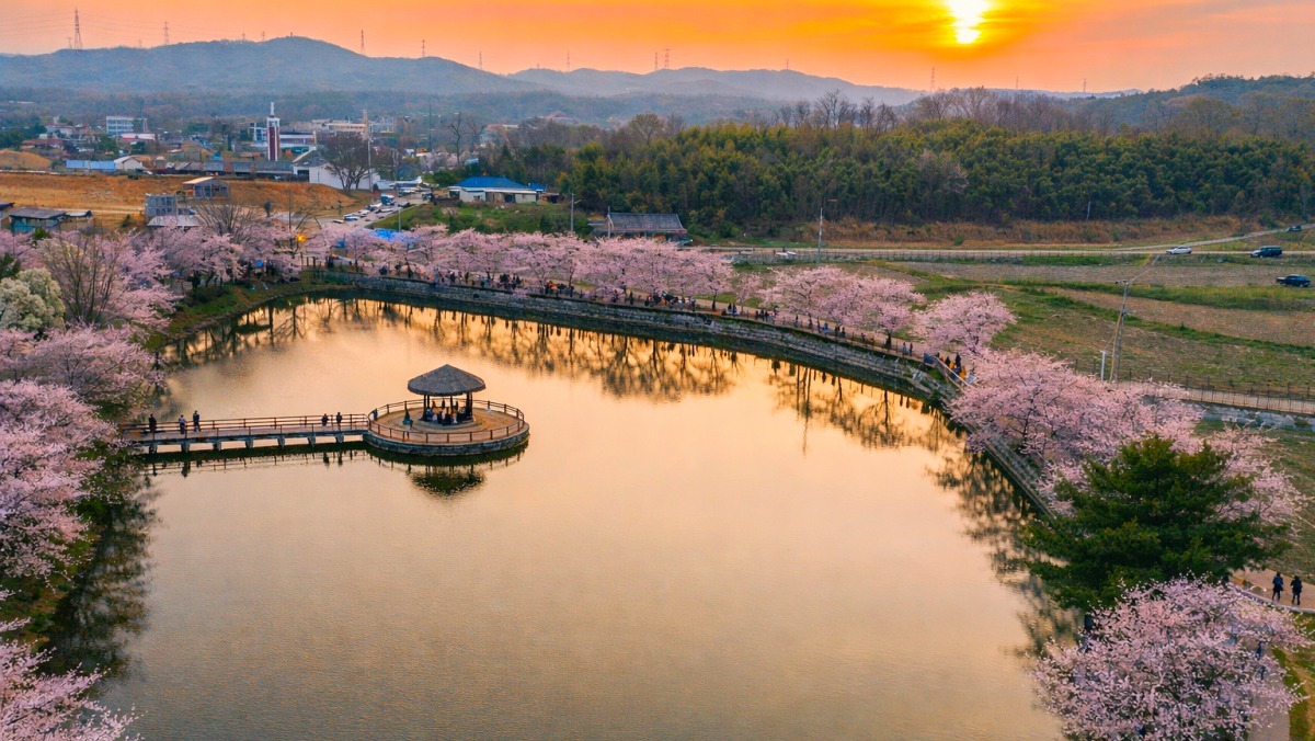 Goljeongji in Dangjin. / Official blog of Dangjin City, AI