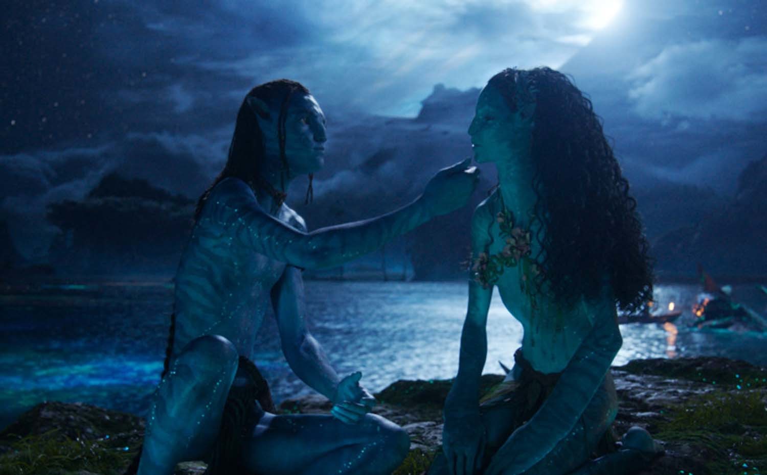 引用：映画『アバター：ファイヤー・アンド・アッシュ』