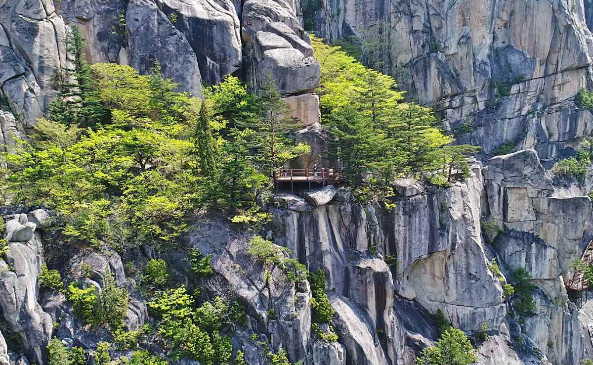 &nbsp;   Duta Mountain gorge Macheonru / Screenshot from Donghae City\'s official YouTube