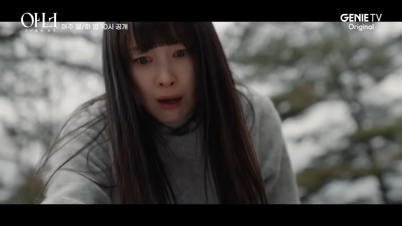 引用:ENA『Honor:彼女たちの法廷』