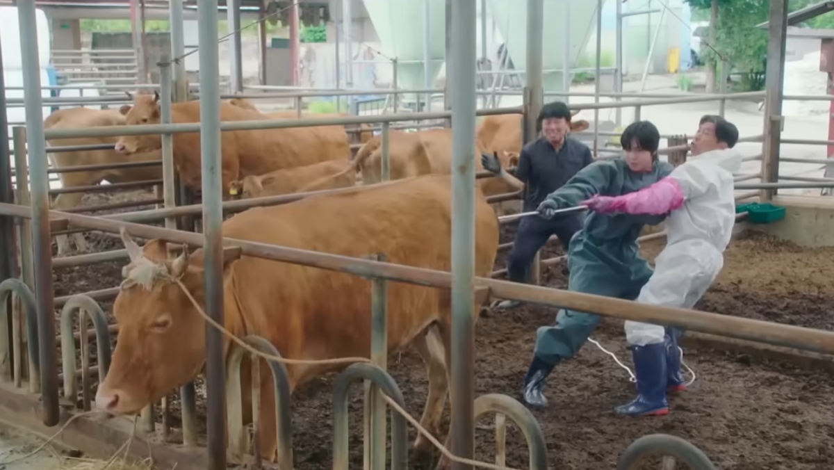 引用：YouTubeチャンネルSBSスブスDrama