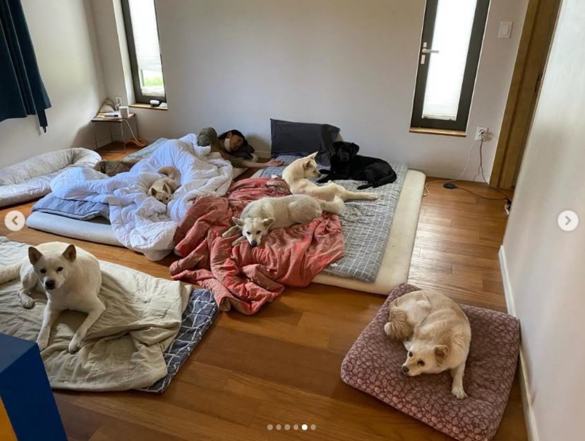 引用：イ・ヒョリのInstagramアカウント