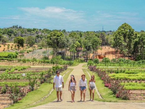 &nbsp; Bintan Resort official website