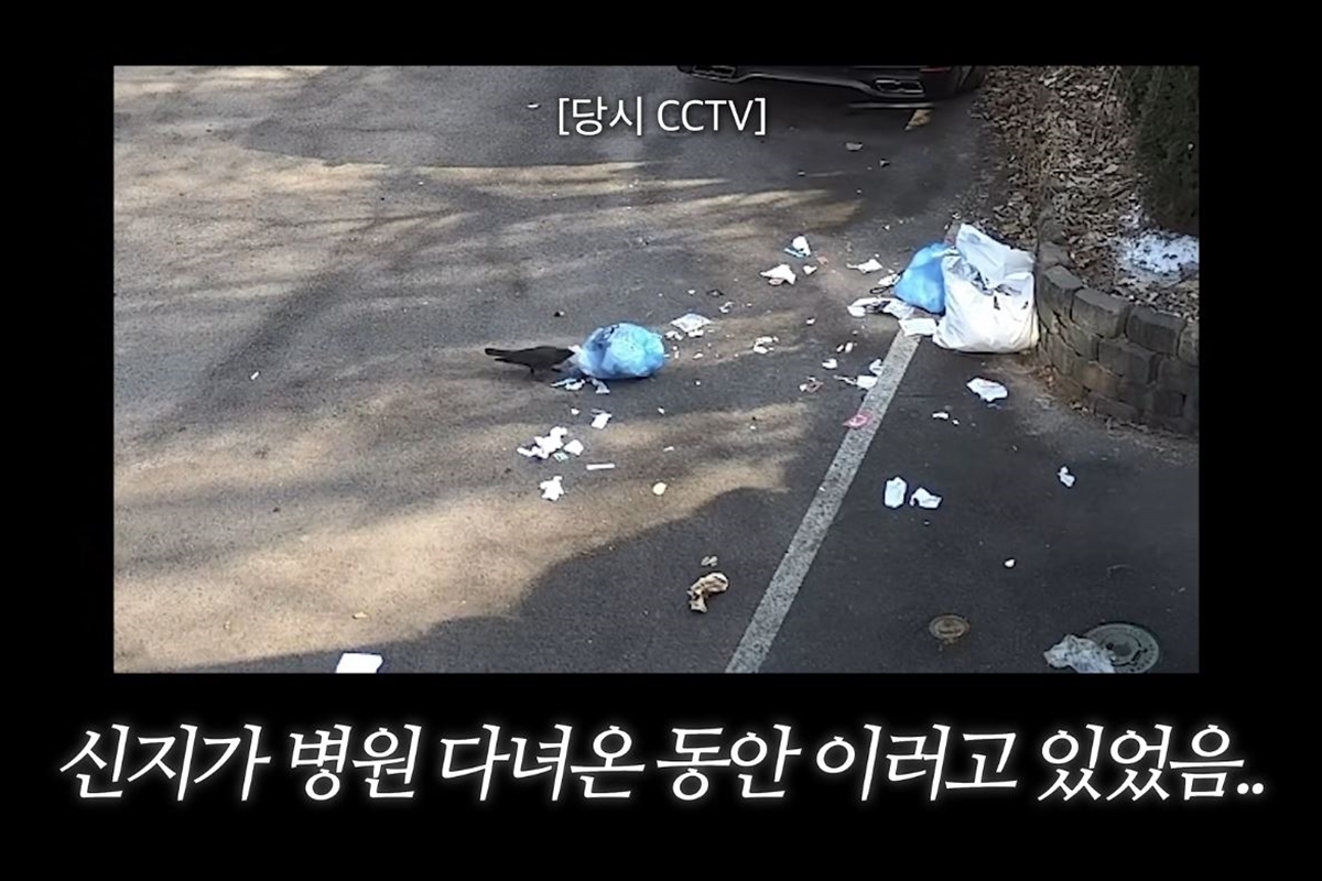 출처: 유튜브 채널 '어떠신지?!?'