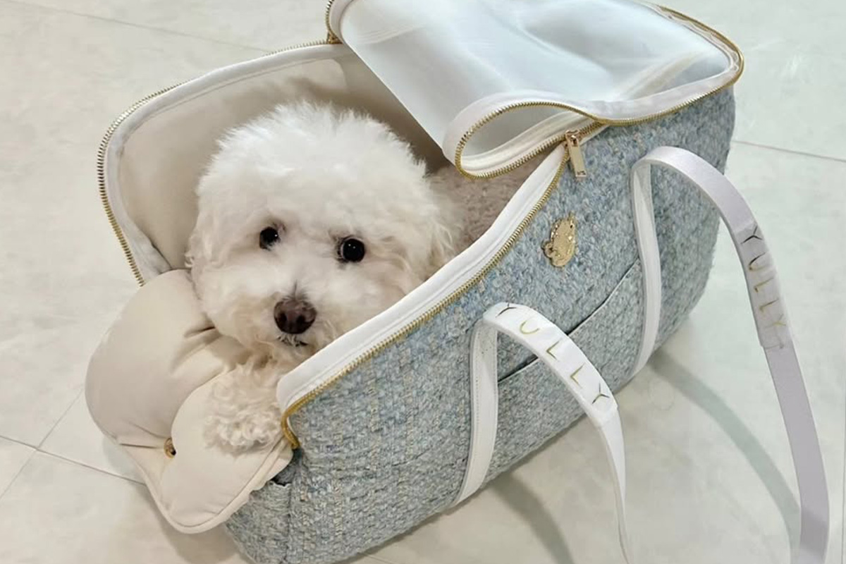 출처 : 슬리피 SNS