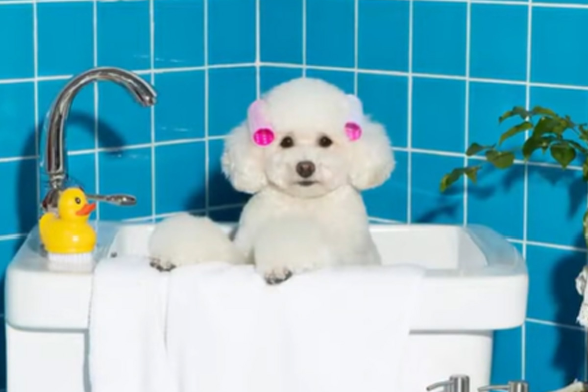 출처 :  KBS 1TV ‘아침마당’