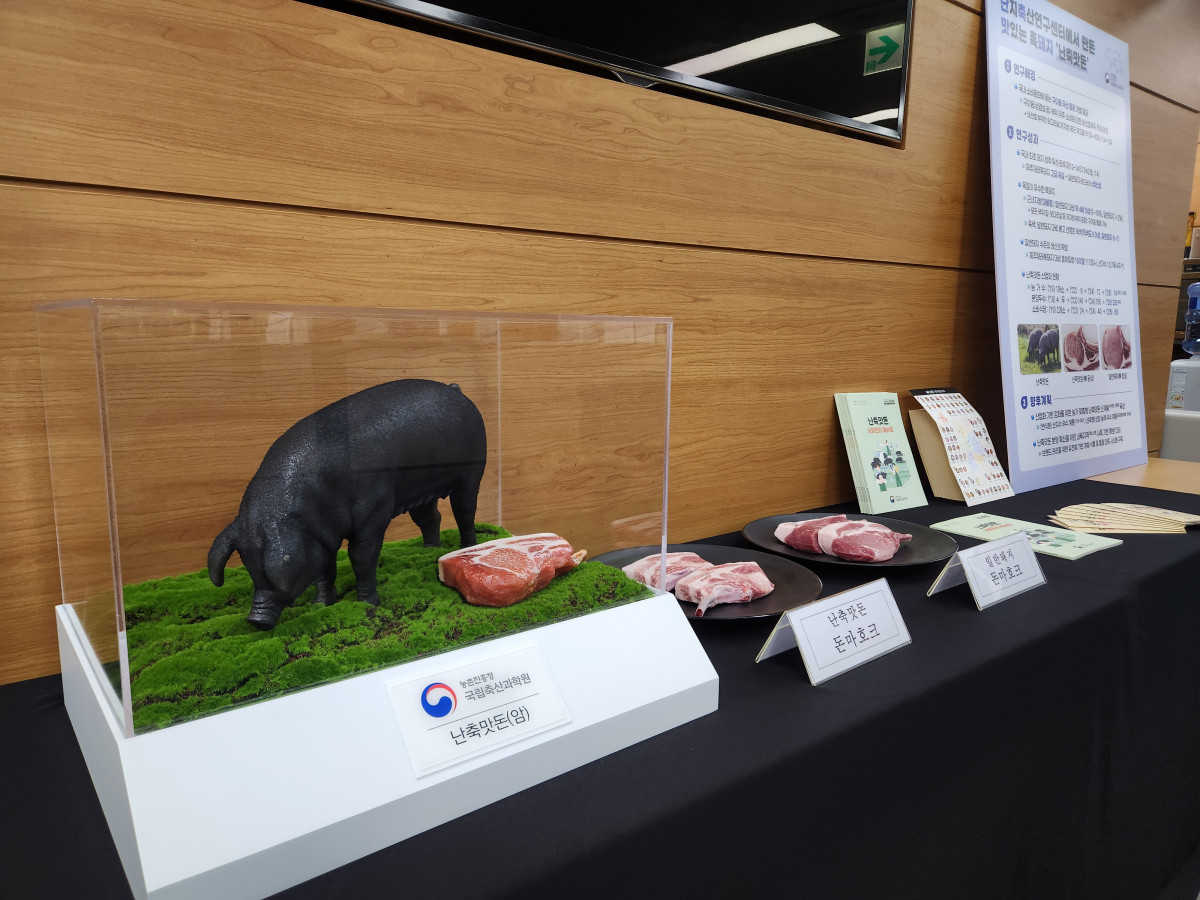 Reporter No Seung-gilMaterials related to Nanchuk Matdon were displayed at the ‘Nanchuk Matdon Industrialization Results and Expansion Plan’ briefing held at the Government Sejong Complex on the 18th.