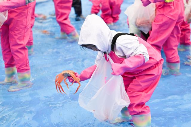 Don’t Miss Out: Top 5 Must-Do Activities at the 29th Yeongdeok Snow Crab Festival!