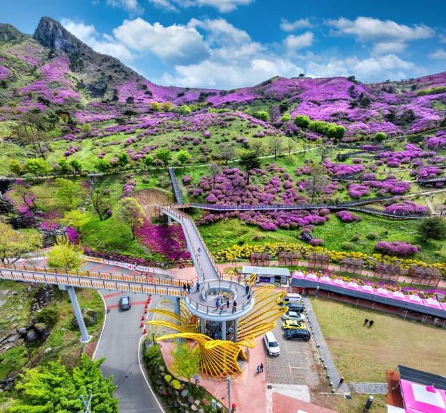 Discover the Future of Wellness Tourism: Sancheong’s Transformation into a Healing Destination by 2026