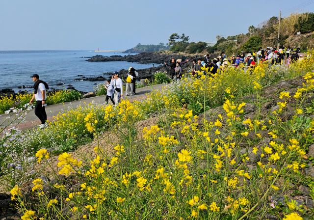 Jeju’s Historical Truth: Why the 4·3 Peace Park’s New Signage Matters