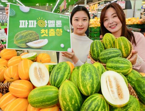 &nbsp;               On the 22nd, models showcased the first domestic papaya melons shipped to market at the Nonghyup Hanaro Mart Yangjae store in Seocho-gu, Seoul. [Photo = Nonghyup Distribution]