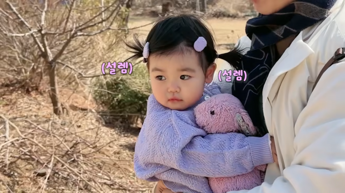 Park Soo-hong Happy Dahong YouTube Channel