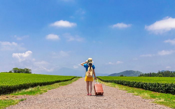 Skyscanner