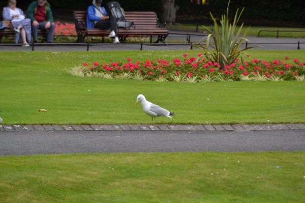 ⓒ게티이미지뱅크