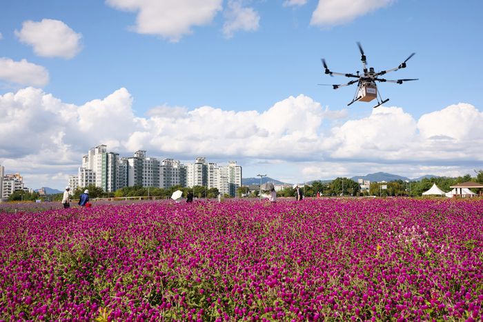 지난해 천일홍 축제가 개최된 나리 농원에서 드론이 배송시범을 보이고 있다.ⓒ