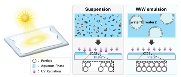 ⓒ코스메카코리아