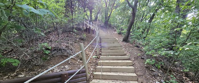 용인특례시가 추진한 광교산둘레길 1차사업 대상지 모습. ⓒ용인시 제공