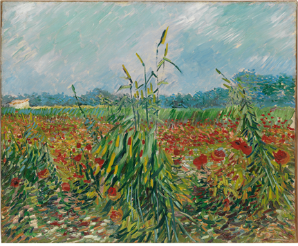 빈센트 반 고흐, 밀밭의 양귀비, 1887년 캔버스에 유채, 54.5x65cm ⓒ노원아트뮤지엄