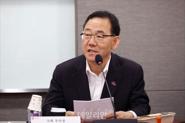 주호영 국회부의장 ⓒ데일리안 홍금표 기자