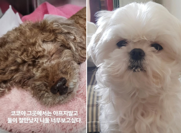 ⓒ이주승·구성환 SNS 갈무리