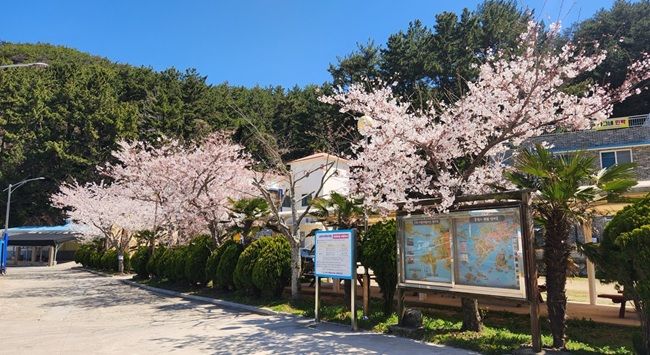 引用：韓国漁村漁港公団