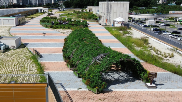 인천 남촌농산물도매시장 과일동 옥상에 조성된 해바람텃밭 전경 ⓒ 인천시 제공
