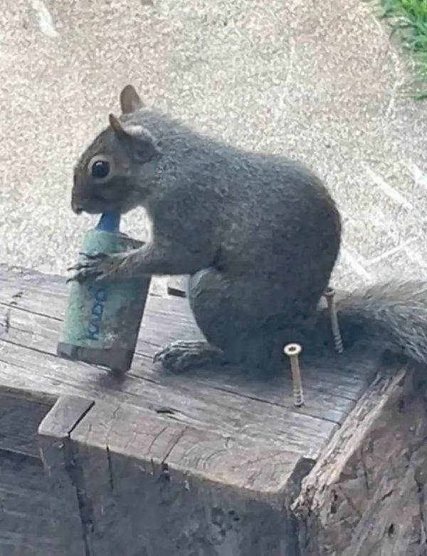 ⓒ온라인 커뮤니티 갈무리