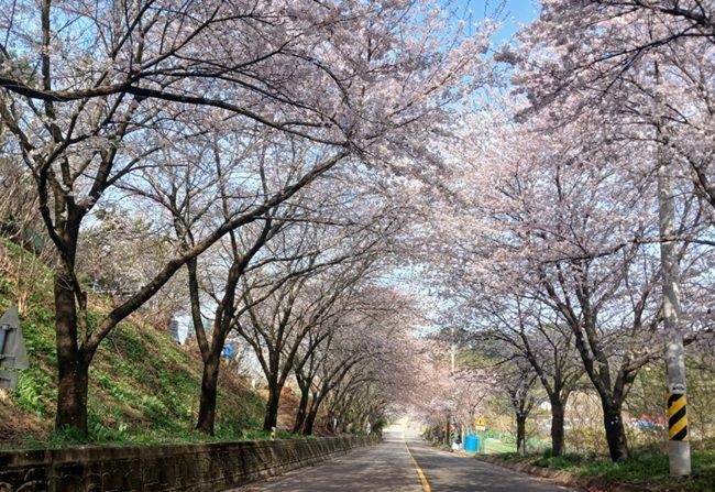 引用：韓国漁村漁港公団
